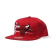 Mitchell＆Ness CHICAGO BULLS Online