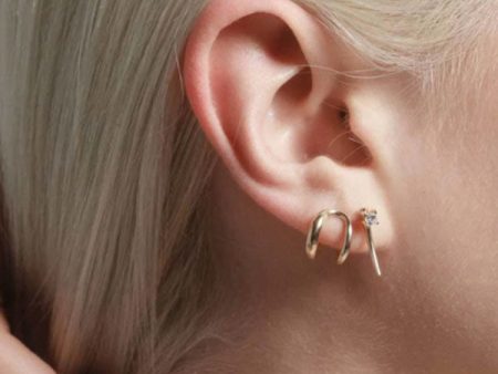 Twin Tusk Earrings Online Hot Sale