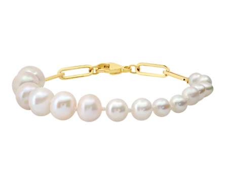 Ascending Pearls Bracelet on Rectangular Chain (Sold Out) Online Hot Sale