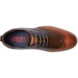 AVILA lace-up - Brandy Multi Online Sale