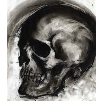 Skull Study IV For Sale