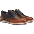 AVILA lace-up - Brandy Multi Online Sale