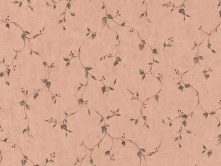 York Wallpaper HF8768CB Rose Hip Vine Online Hot Sale